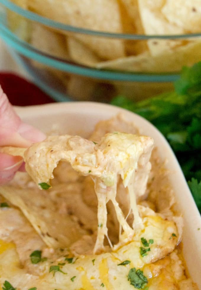 This Chicken Taco Dip with refried beans, chicken, Shamrock Farms Zesty Jalapeño Sour Cream and cheese is a perfect addition to your Cinco De Mayo menu.