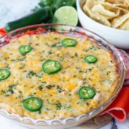 Chicken Taco Dip