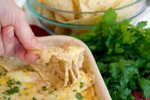 This Chicken Taco Dip with refried beans, chicken, Shamrock Farms Zesty Jalapeño Sour Cream and cheese is a perfect addition to your Cinco De Mayo menu.