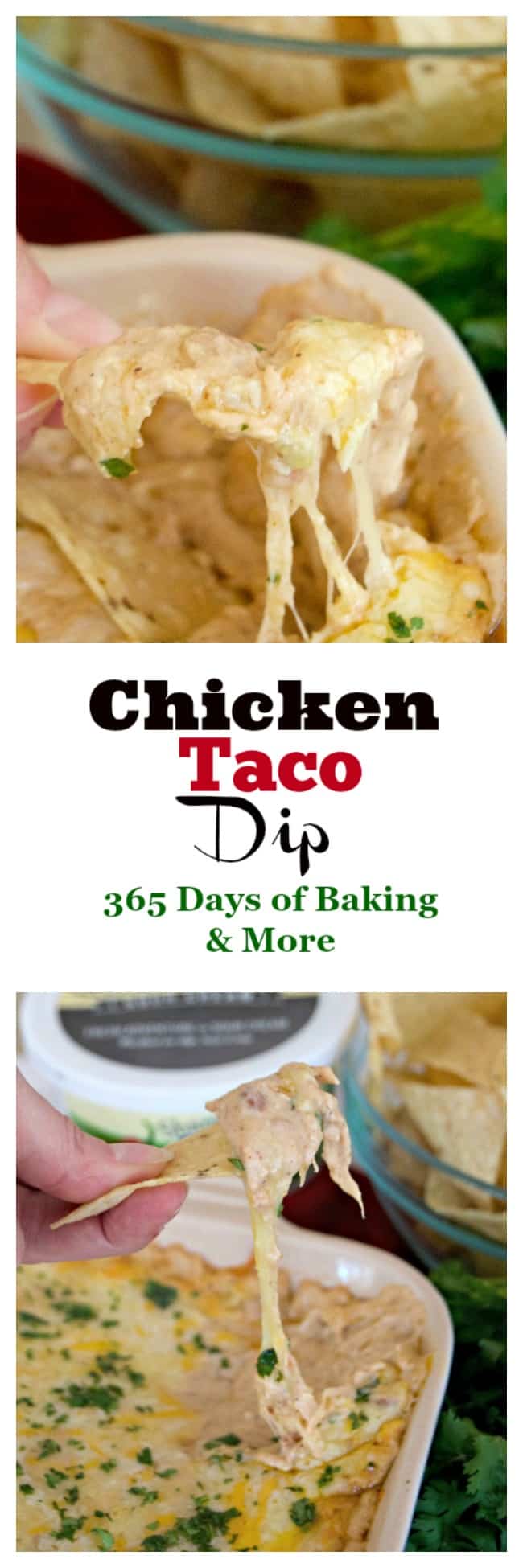 This Chicken Taco Dip with refried beans, chicken, Shamrock Farms Zesty Jalapeño Sour Cream and cheese is a perfect addition to your Cinco De Mayo menu. This Chicken Taco Dip with refried beans, chicken, Shamrock Farms Zesty Jalapeño Sour Cream and cheese is a perfect addition to your Cinco De Mayo menu.