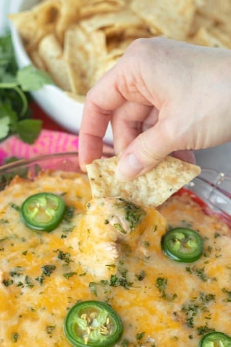 Chicken Taco Dip