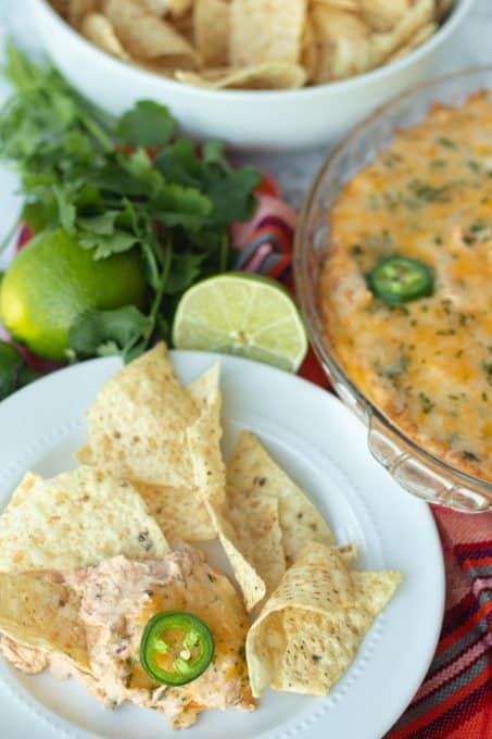 A plate full of chips and and a dip appetizer.