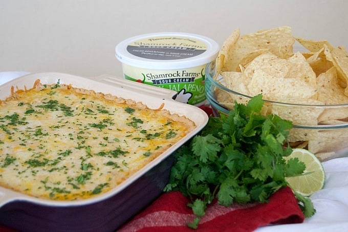 This Chicken Taco Dip with refried beans, chicken, Shamrock Farms Zesty JalapeÃ±o Sour Cream and cheese is a perfect addition to your Cinco De Mayo menu.