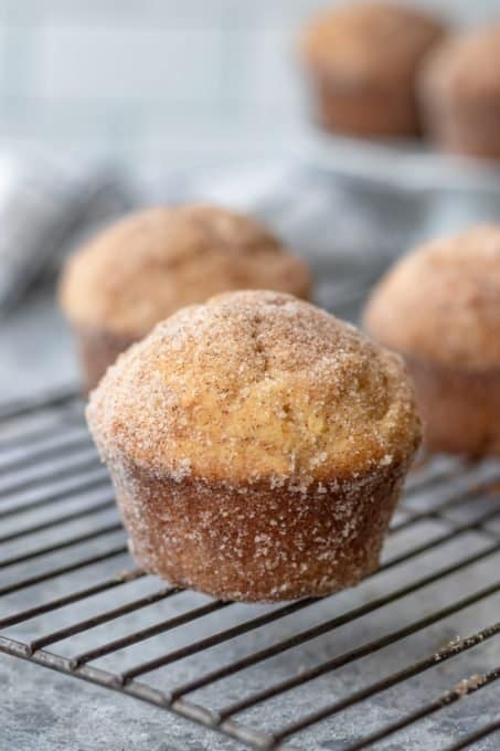 Cinnamon Sugar Muffins