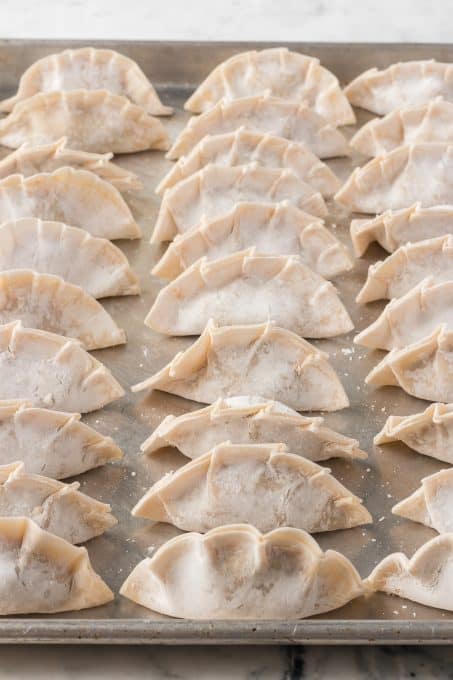 Folded potstickers ready to be steamed and pan-fried.