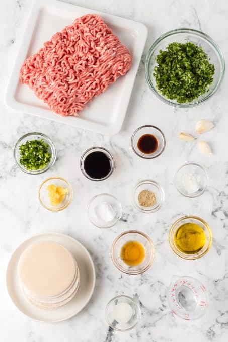 Ingredients for Pork Potstickers