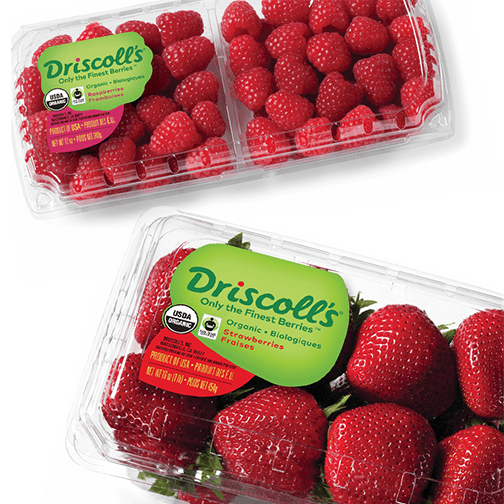 Driscoll's berries are Fair Trade Certified.