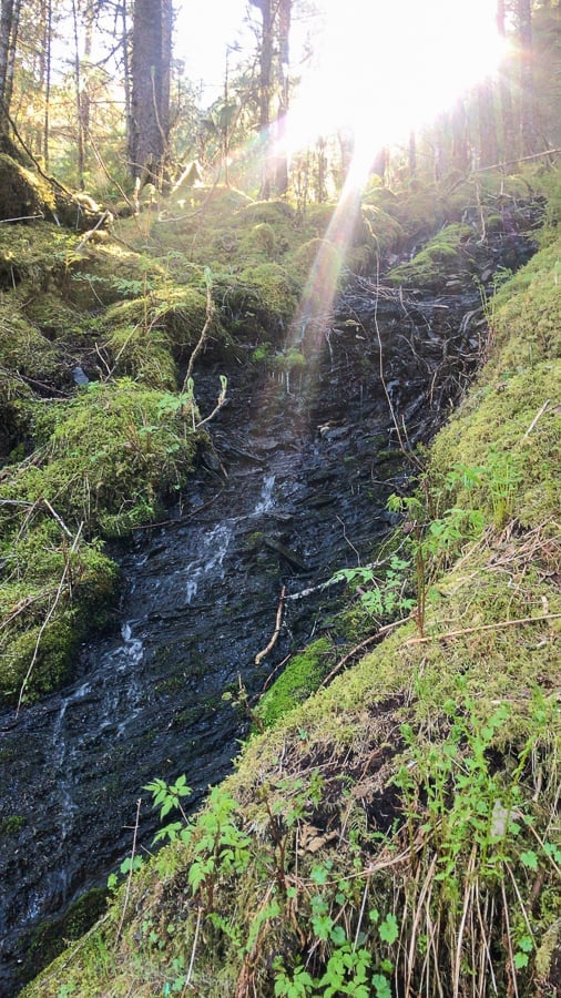 Waterfall on Mendenhall Glacier Trail- What to Pack for an Alaska Cruise