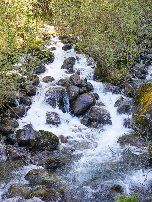 Pretty waterfall along Mendenhall Glacier Trail hike.