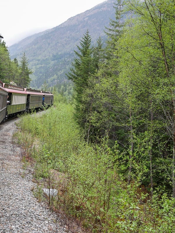 Going up the mountain on the White Pass Scenic Railway tour in Skagway, Alaska.