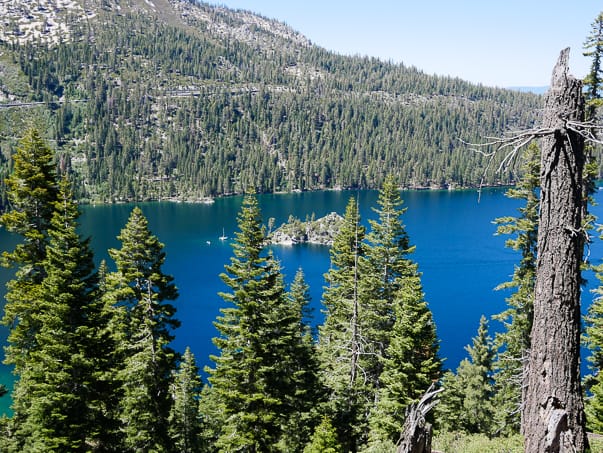 Fannette Island through the pines in Emerald Bay, CA