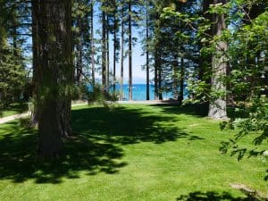 View of the lake and tall pines at Tallac Historic Site in South Lake Tahoe, CA.