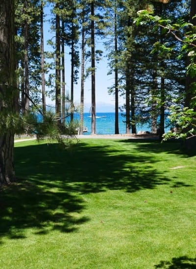 View of the lake and tall pines at Tallac Historic Site in South Lake Tahoe, CA.