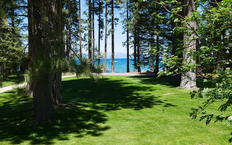 View of the lake and tall pines at Tallac Historic Site in South Lake Tahoe, CA.