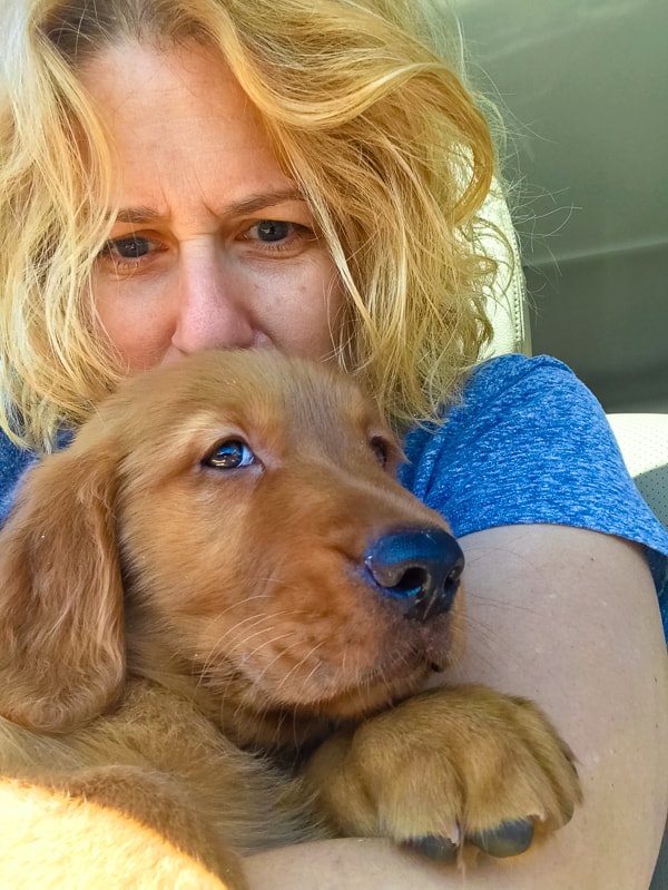 Furry Friend Friday - Logan the Golden Dog being hugged by mommy