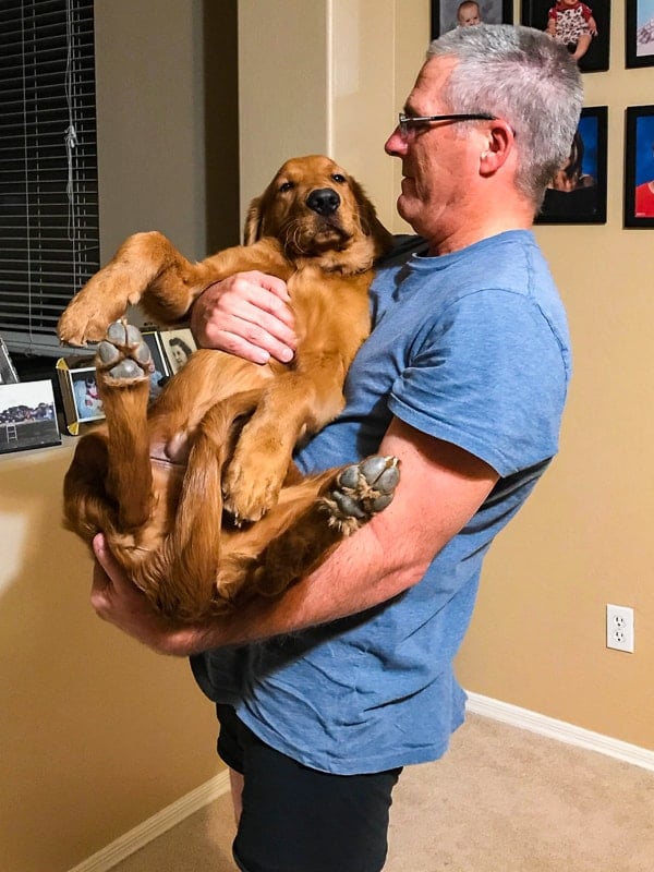 Kurt Feifer carrying Logan the Golden Dog.