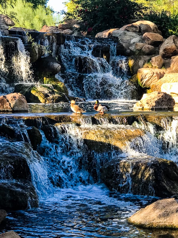 Waterfall in Anthem, AZ.