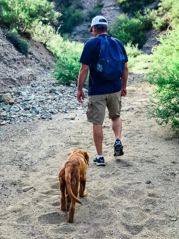 Hiking Box Canyon of the Hassayampa Trail with dad.