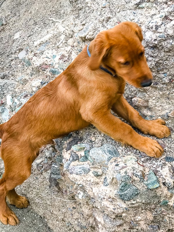 Rock Climbing in Box Canyon of the Hassayampa Trail.