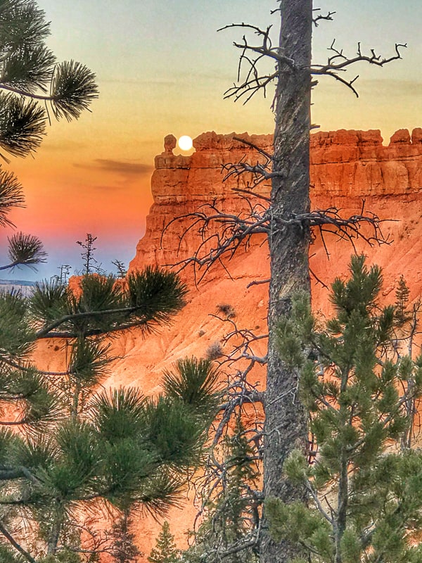 Full moon rising at Bryce Point, Bryce Canyon National Park.