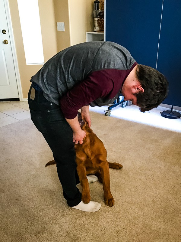 Logan the Golden Dog with Cameron.