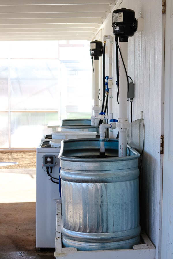 The wash basin at Steadfast Farm, Mesa, AZ.