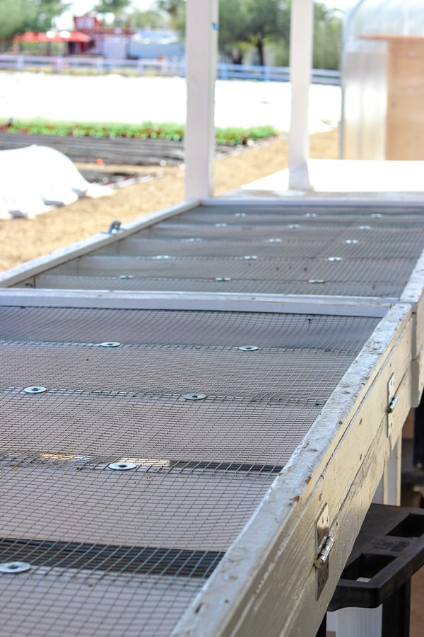 Produce drying rack at Steadfast Farm.