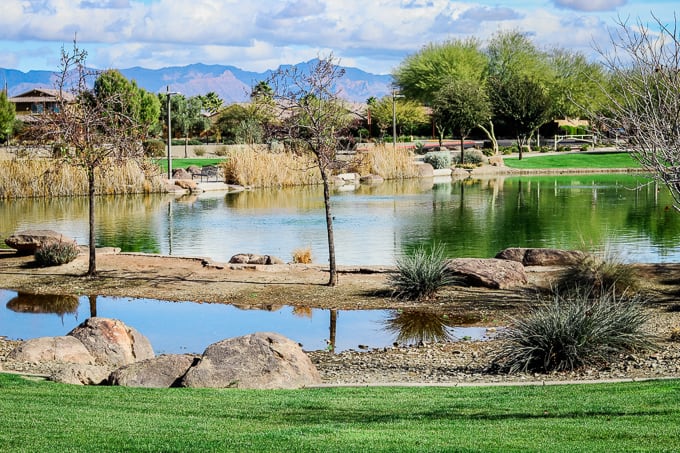 Park view from Steadfast Farm, Mesa, AZ.