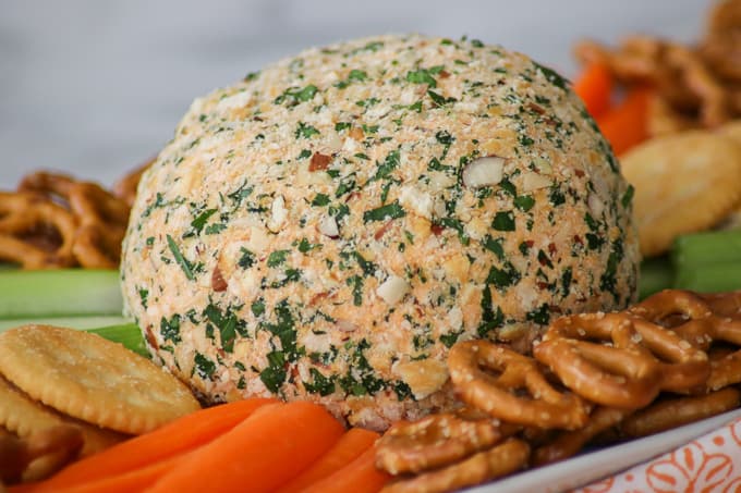 A Buffalo Chicken Cheese Ball with carrots and pretzels in foreground.
