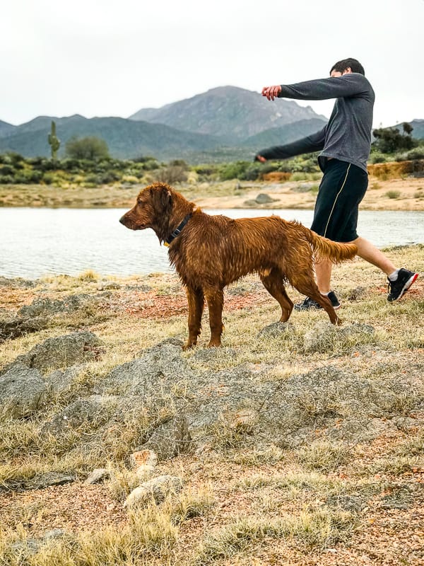 Logan the Golden Dog and Cameron Feifer at Bartlett Lake, AZ.