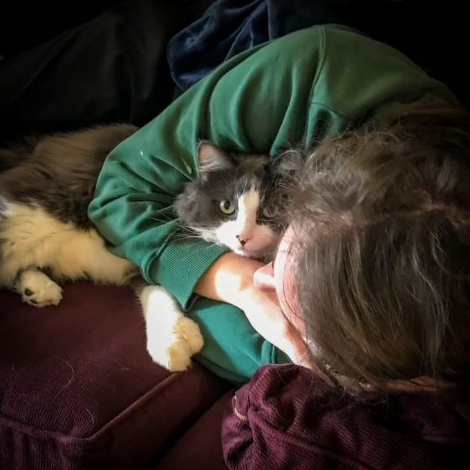 Winnie the cat with her momma. Logan the Golden Dog - Mother's Day.