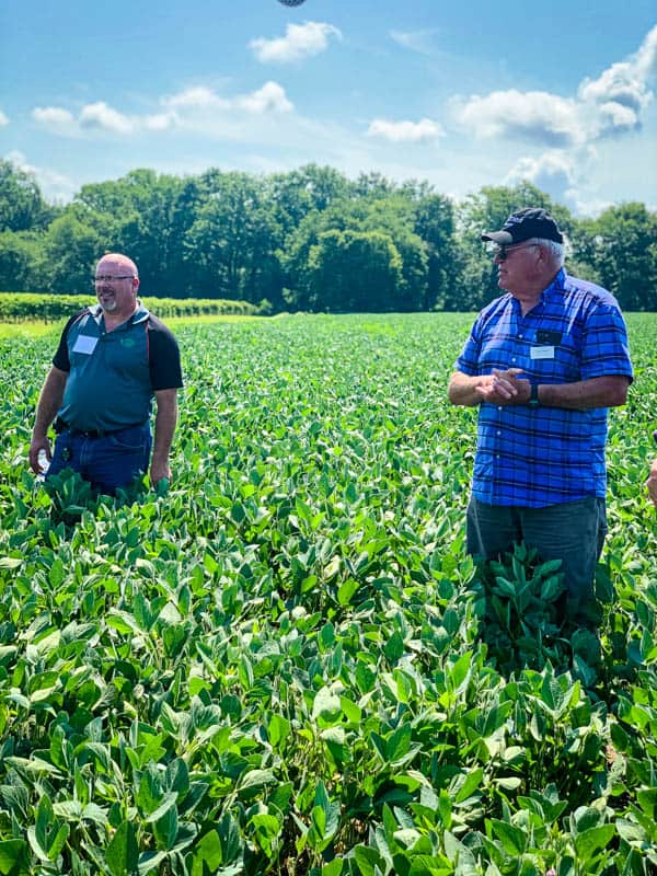 William and Joe Layton of Lazy Day Farms in their soybean field.