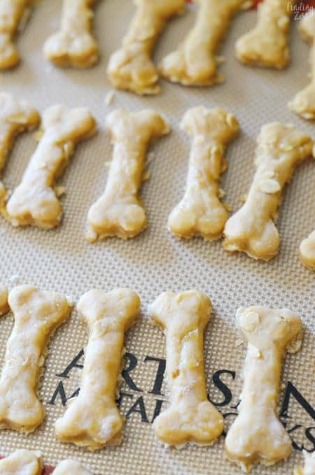 Dog Biscuit Recipe