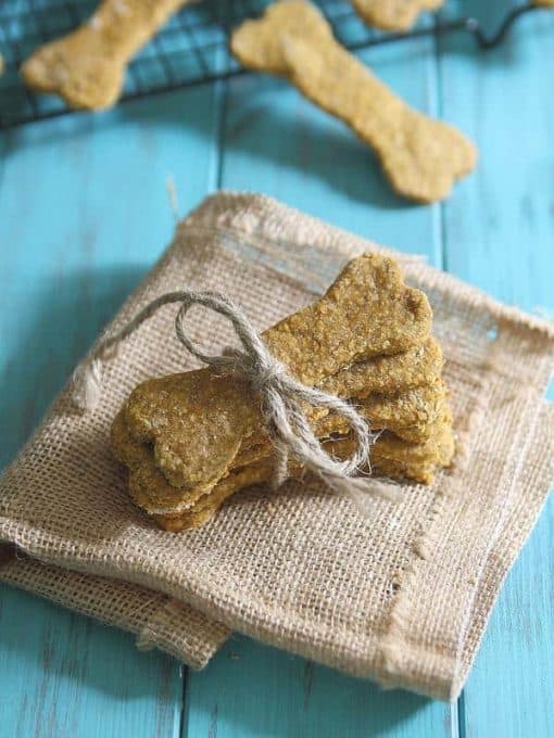 Peanut Butter Pumpkin Dog Treats