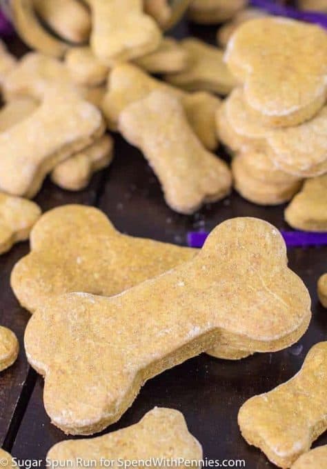 Pumpkin Dog Treats