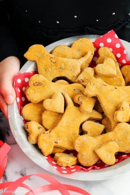 Homemade Pumpkin Bacon Dog Treats