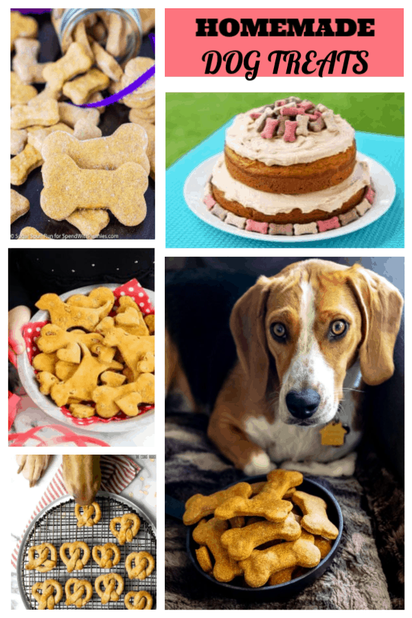 Easy Homemade Dog Treats