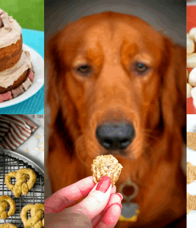 Homemade Dog Treats