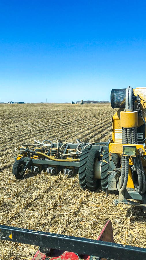 Harvesting the corn. A harvested cornfield.