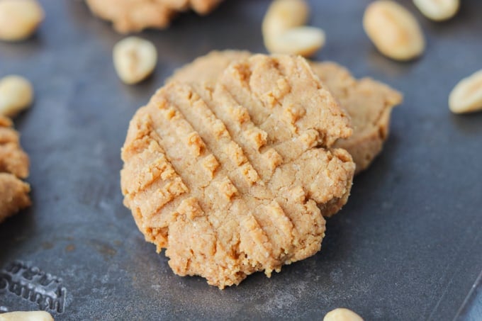 3 Ingredient Sugar Free Peanut Butter Cookies