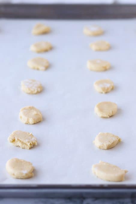 Sugar cookies ready for the oven.