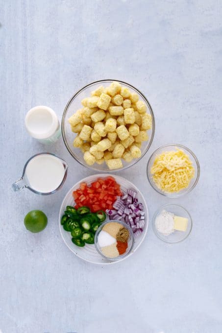 Ingredients for homemade queso and tater tot nachos.