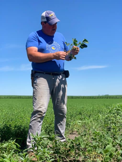 Dave Struthers talking about his soy farm