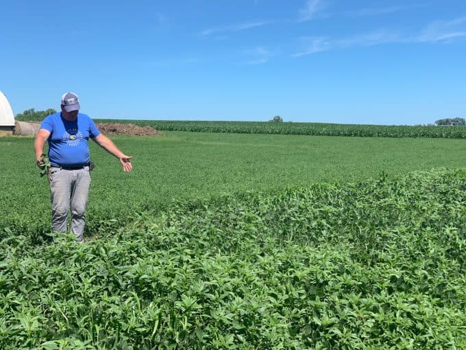 Farmer Dave Struthers of Struthers Farms talking about his soybean farming.