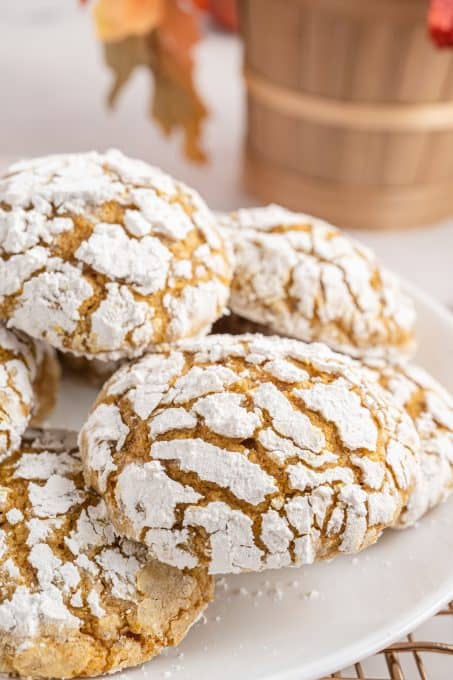 Pumpkin Crinkles