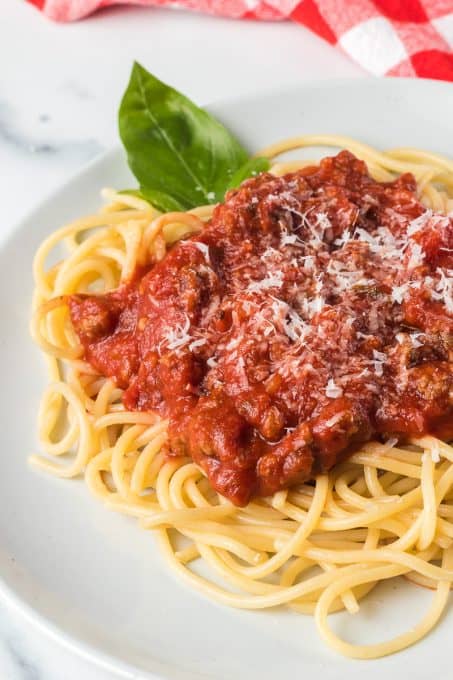 A plate of spaghetti with pasta sauce.