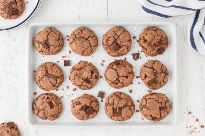 A tray of chocolate cookies with chocolate chunks.