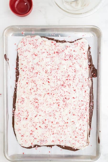 A tray of holiday bark with peppermint.
