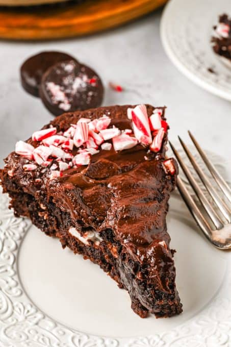 A brownie pie slice.