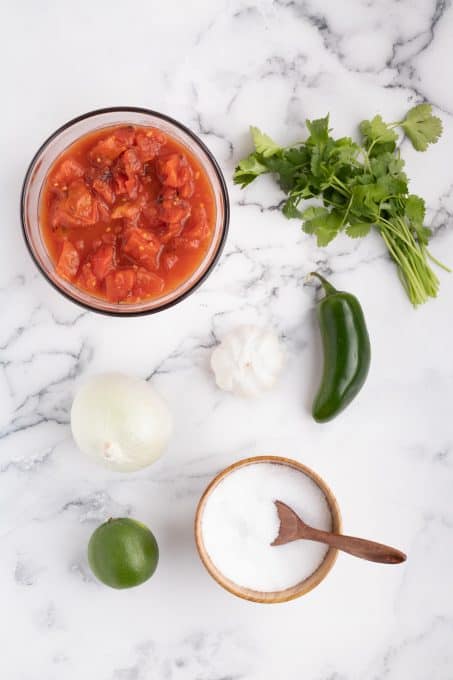 Ingredients for Easy Salsa Recipe